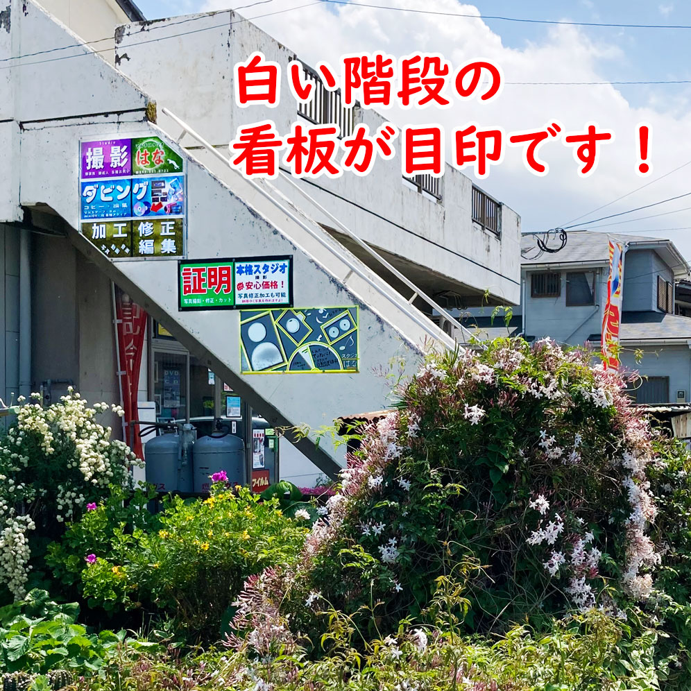 画像の説明